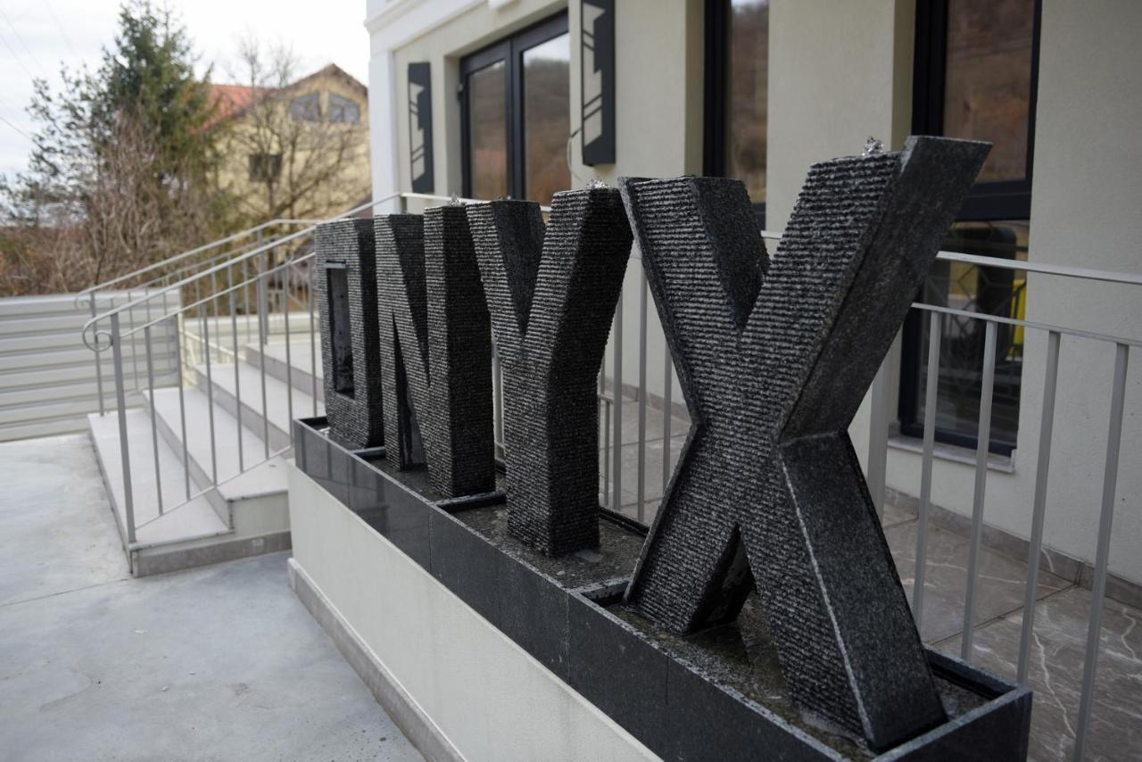 Maison d'hôtes Pensiunea Onyx Ieşelniţa